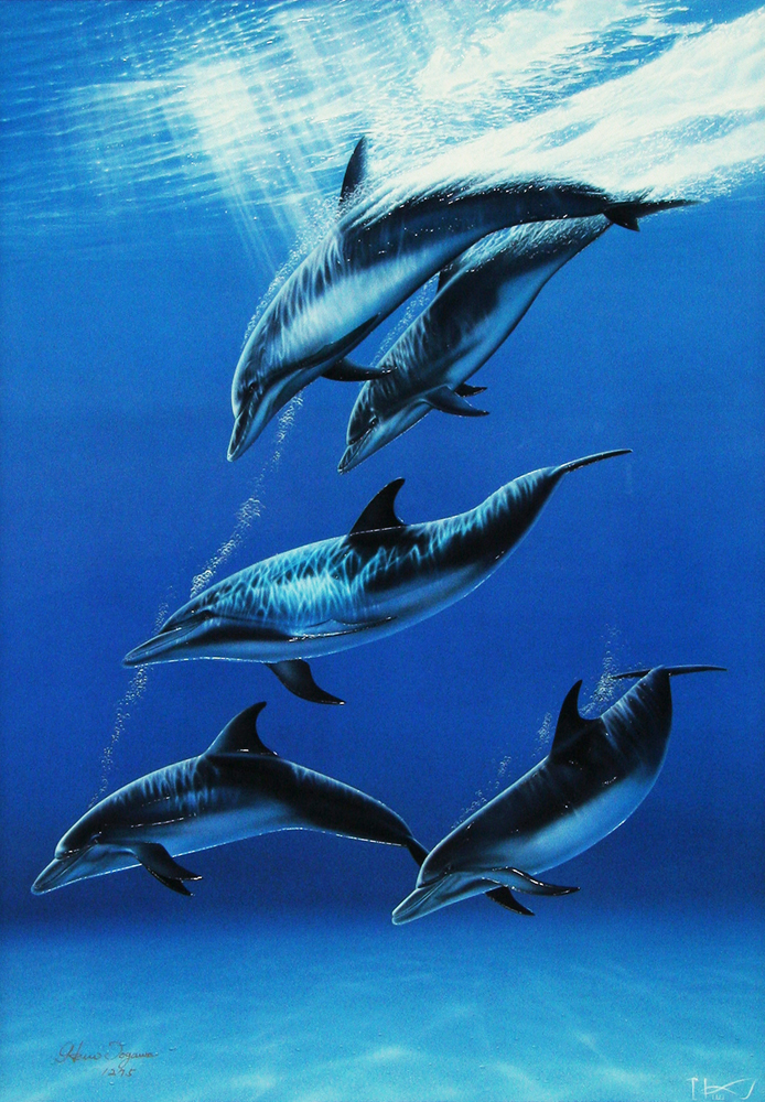 戸川郁夫の絵画作品　タイトルは、イルカ ダイビング